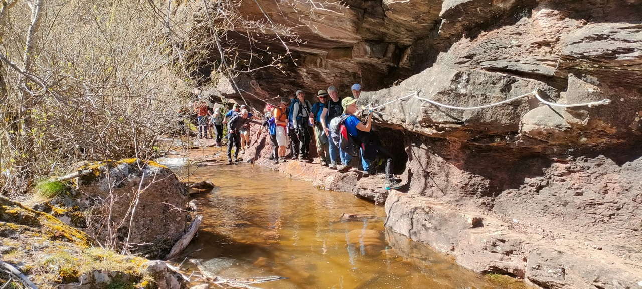 WhatsApp Image 2026-04-08 at 07.40.56 (6)